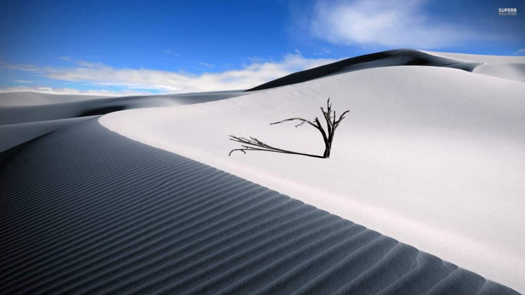 PIE White Sand Desert